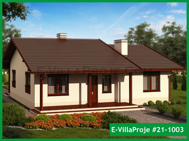 Ev Villa Proje #21 - 1003 Çelik Villa Modeli ve 3D Tasarımı