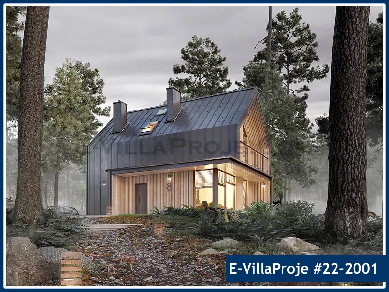 Ev Villa Proje #22 - 2001 Çelik Villa Modeli ve 3D Tasarımı