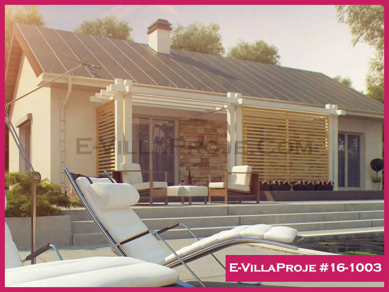 Ev Villa Proje #16 - 1003 Çelik Villa Modeli ve 3D Tasarımı