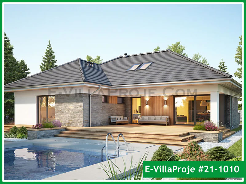 Ev Villa Proje #21 - 1010 Çelik Villa Projesi 3D Mimari Tasarımı