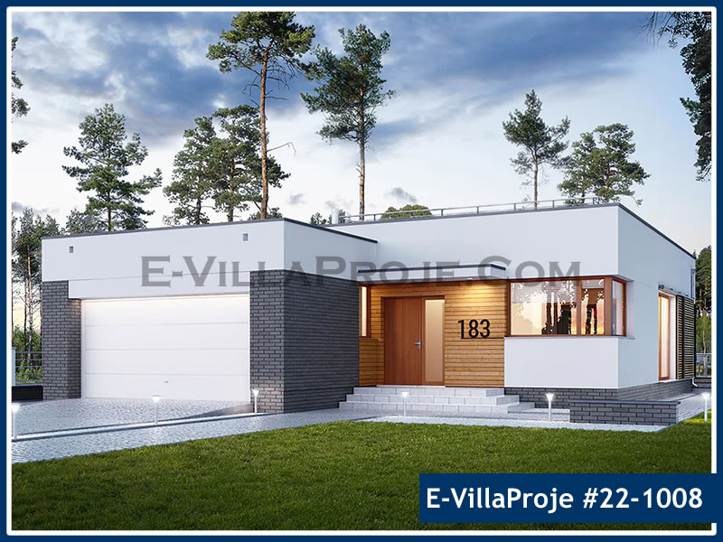 Ev Villa Proje #22 - 1008 Çelik Villa Modeli ve 3D Tasarımı