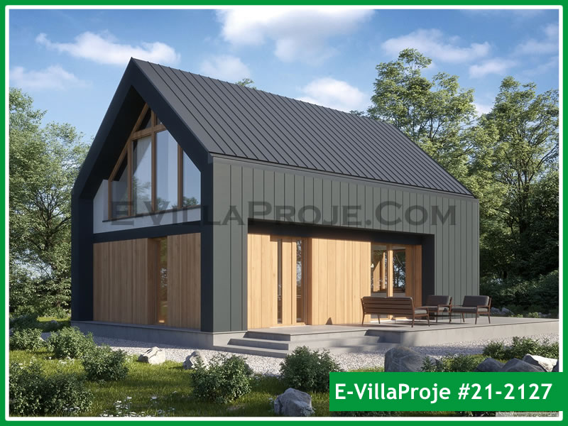 Ev Villa Proje #21 - 2127 Çelik Villa Projesi 3D Mimari Tasarımı