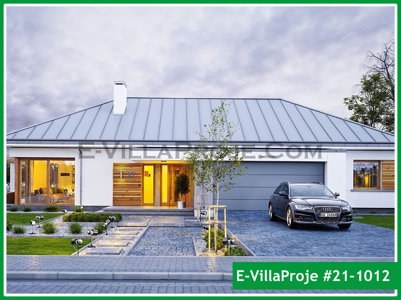 Ev Villa Proje #21 - 1012 Çelik Villa Modeli ve 3D Tasarımı