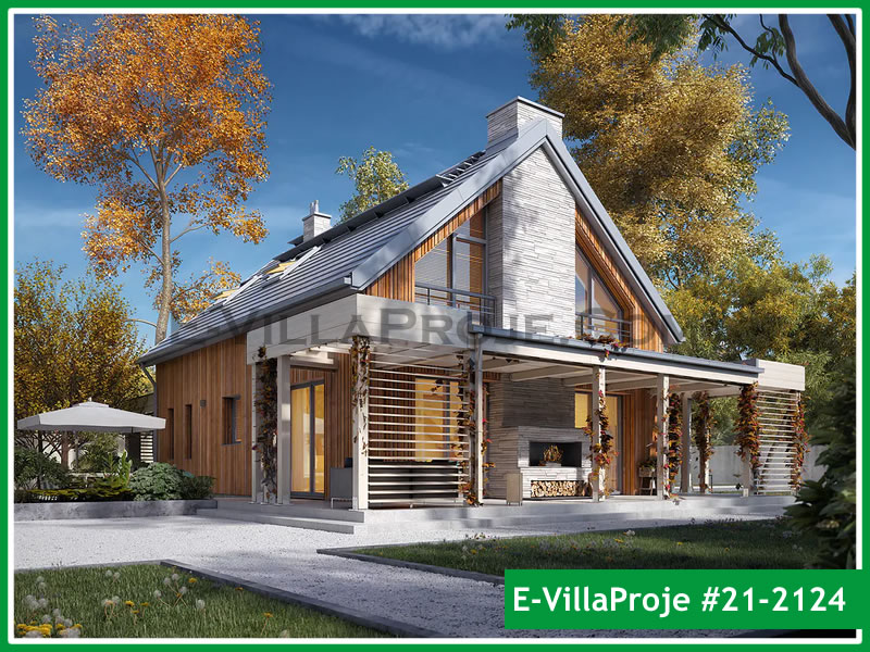 Ev Villa Proje #21 - 2124 Çelik Villa Modeli ve 3D Tasarımı