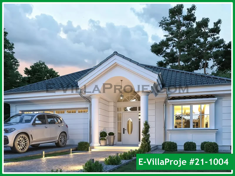 Ev Villa Proje #21 - 1004 Çelik Villa Modeli ve 3D Tasarımı