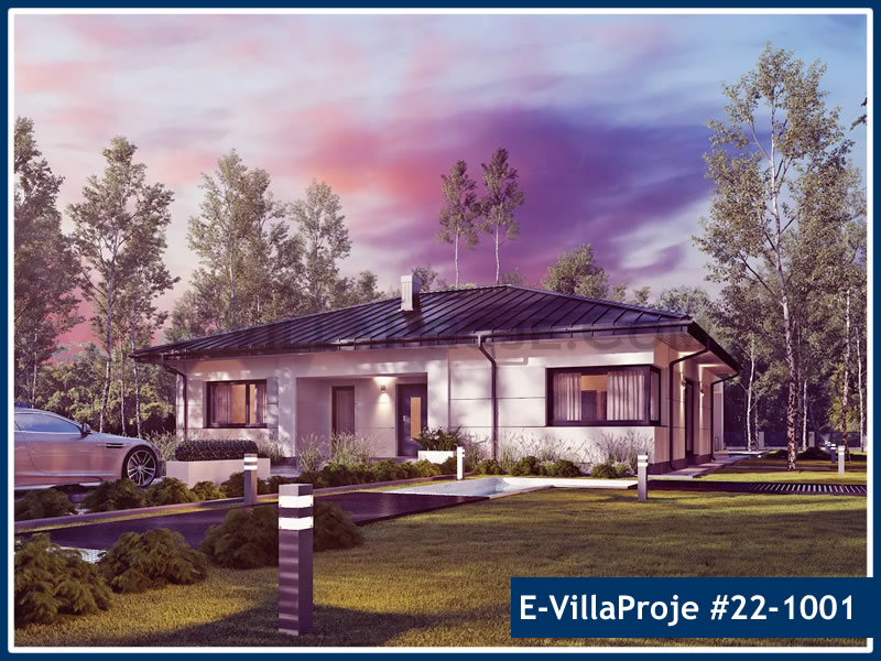 Ev Villa Proje #22 - 1001 Çelik Villa Projesi 3D Mimari Tasarımı