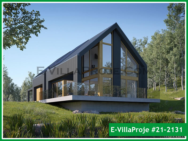 Ev Villa Proje #21 - 2131 Çelik Villa Projesi 3D Mimari Tasarımı