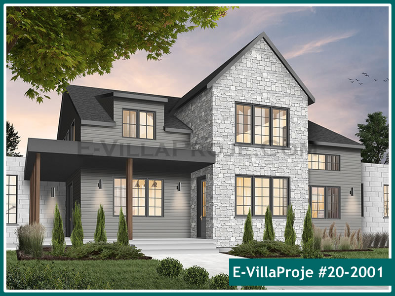 Ev Villa Proje #20 - 2001 Çelik Villa Projesi 3D Mimari Tasarımı