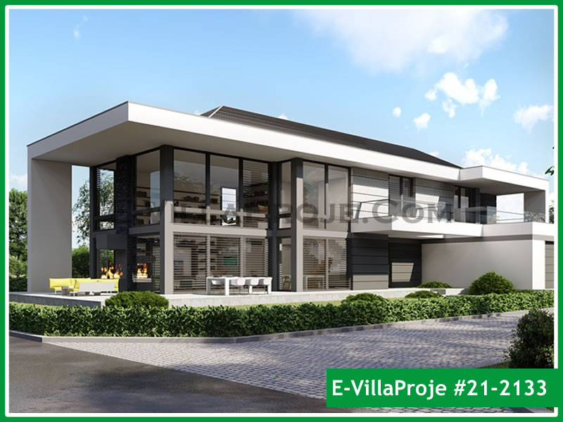 Ev Villa Proje #21 - 2133 Çelik Villa Modeli ve 3D Tasarımı