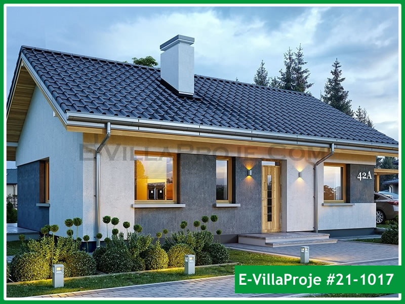 Ev Villa Proje #21 - 1017 Çelik Villa Modeli ve 3D Tasarımı