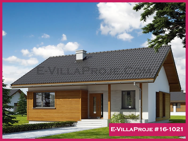 Ev Villa Proje #16 - 1021 Çelik Villa Modeli ve 3D Tasarımı